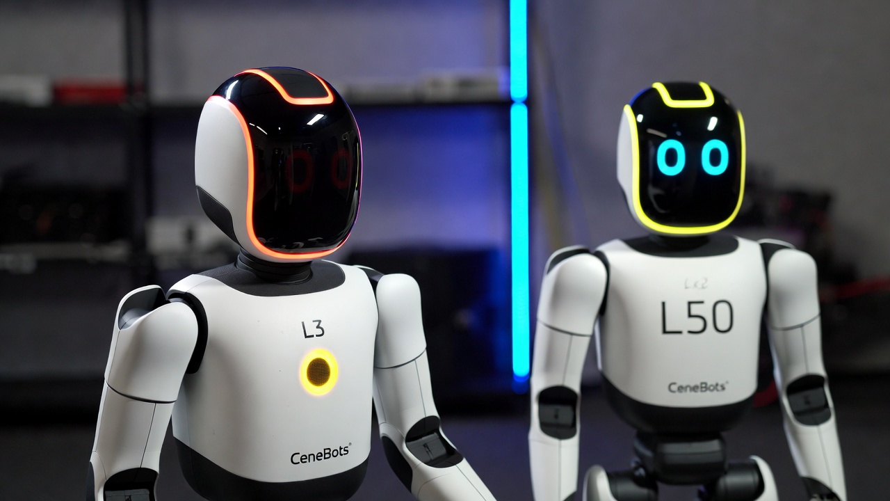 L3 contre L50