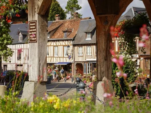 autolaveuse à Lyons la foret